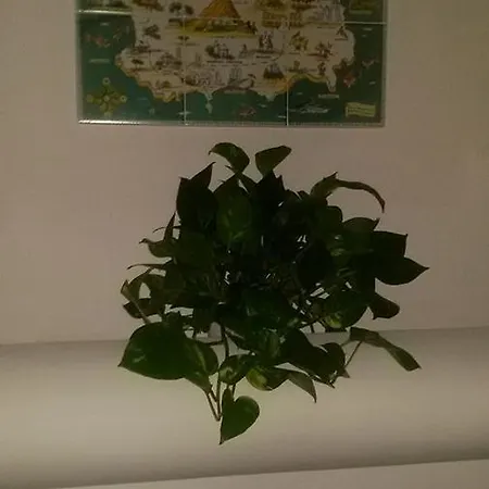 Szálloda Terme Fiola Casamicciola Terme